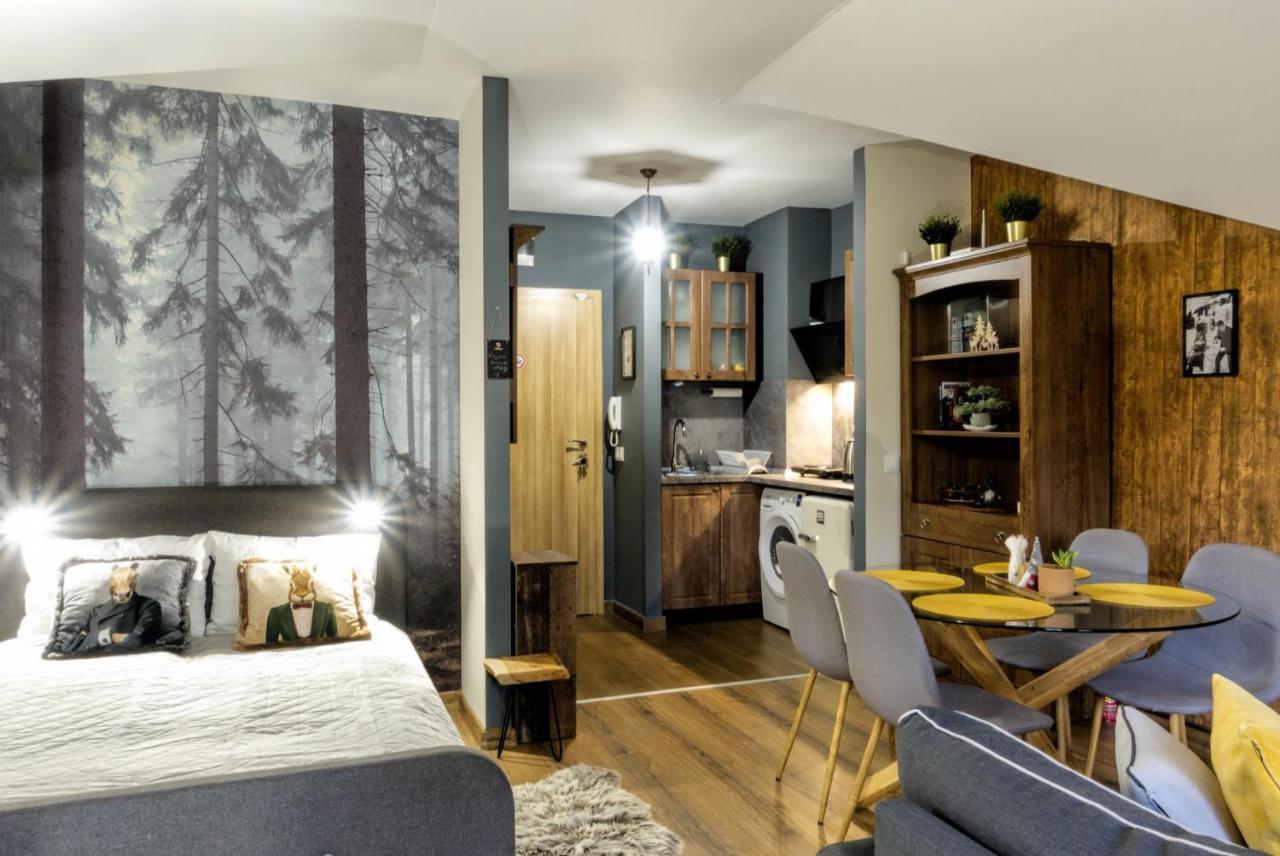 Borovets Dream Studio Zewnętrze zdjęcie