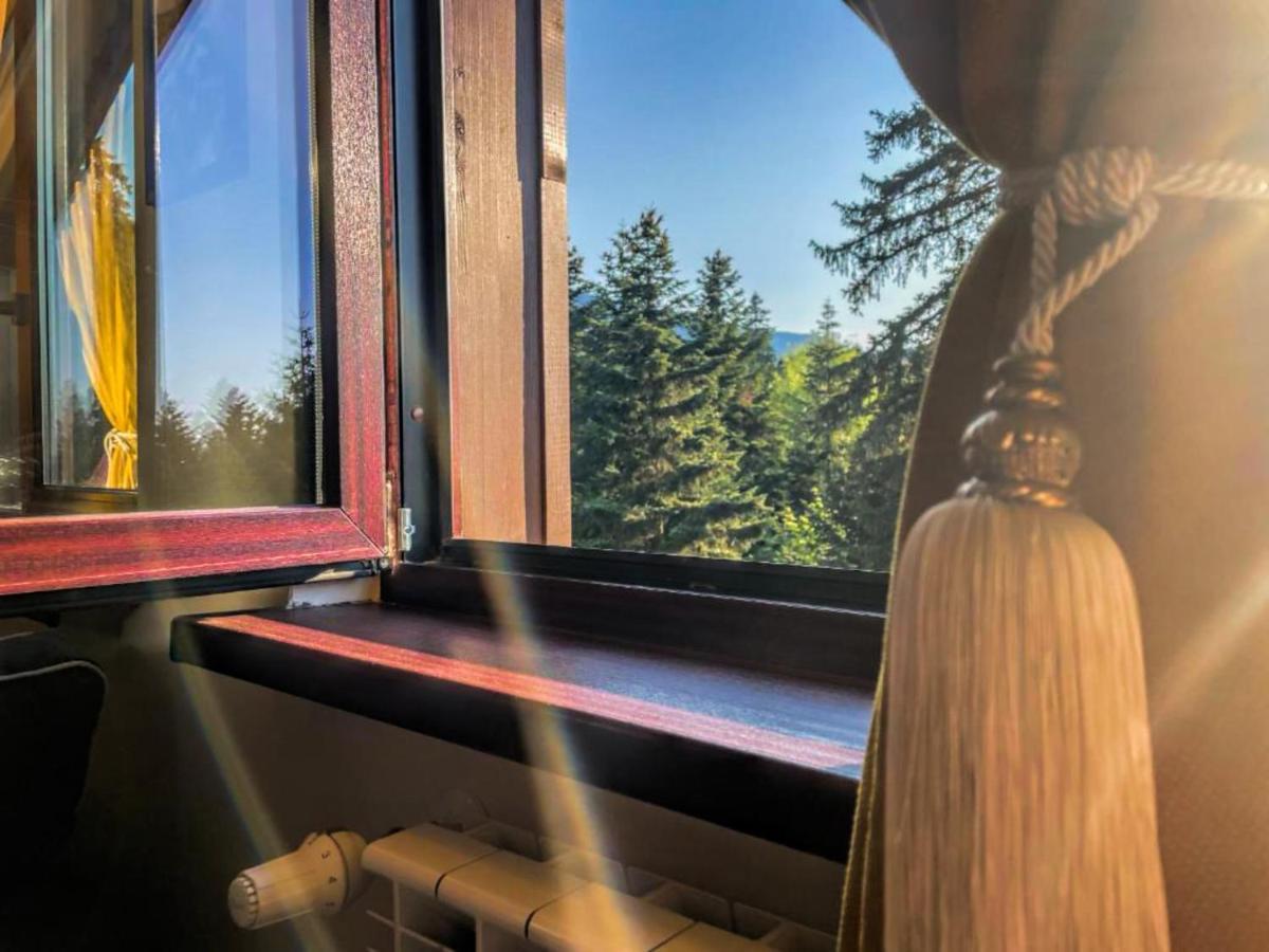 Borovets Dream Studio Zewnętrze zdjęcie