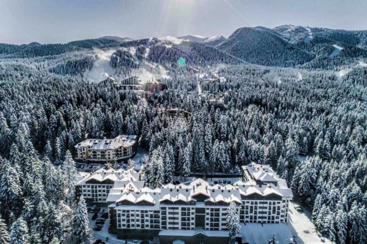 Borovets Dream Studio Zewnętrze zdjęcie