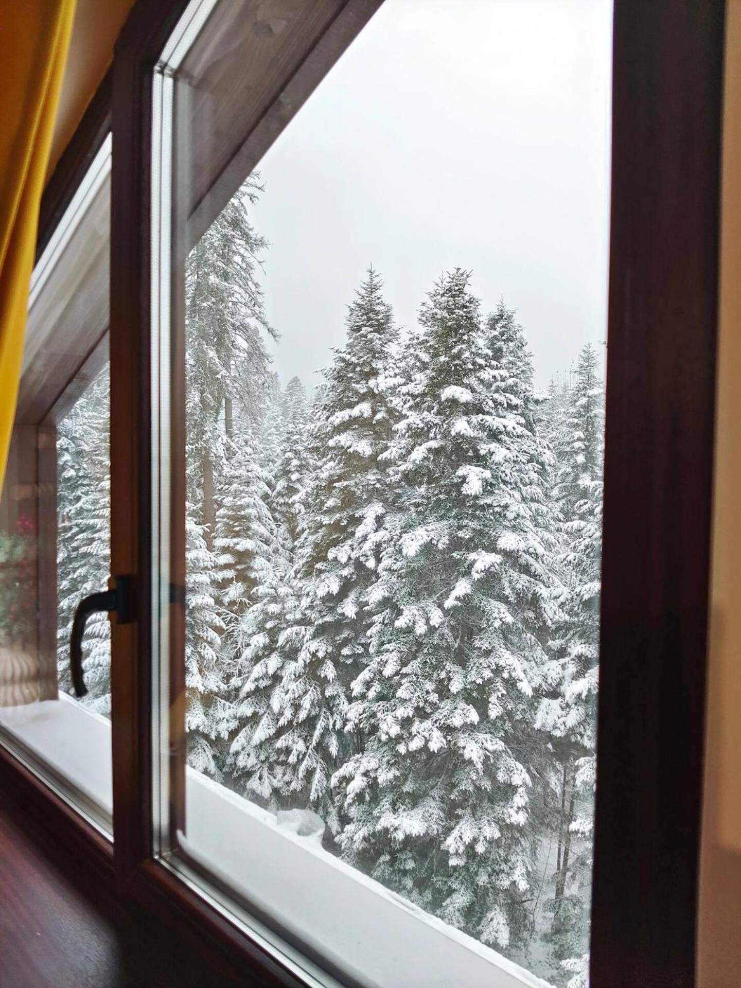 Borovets Dream Studio Zewnętrze zdjęcie