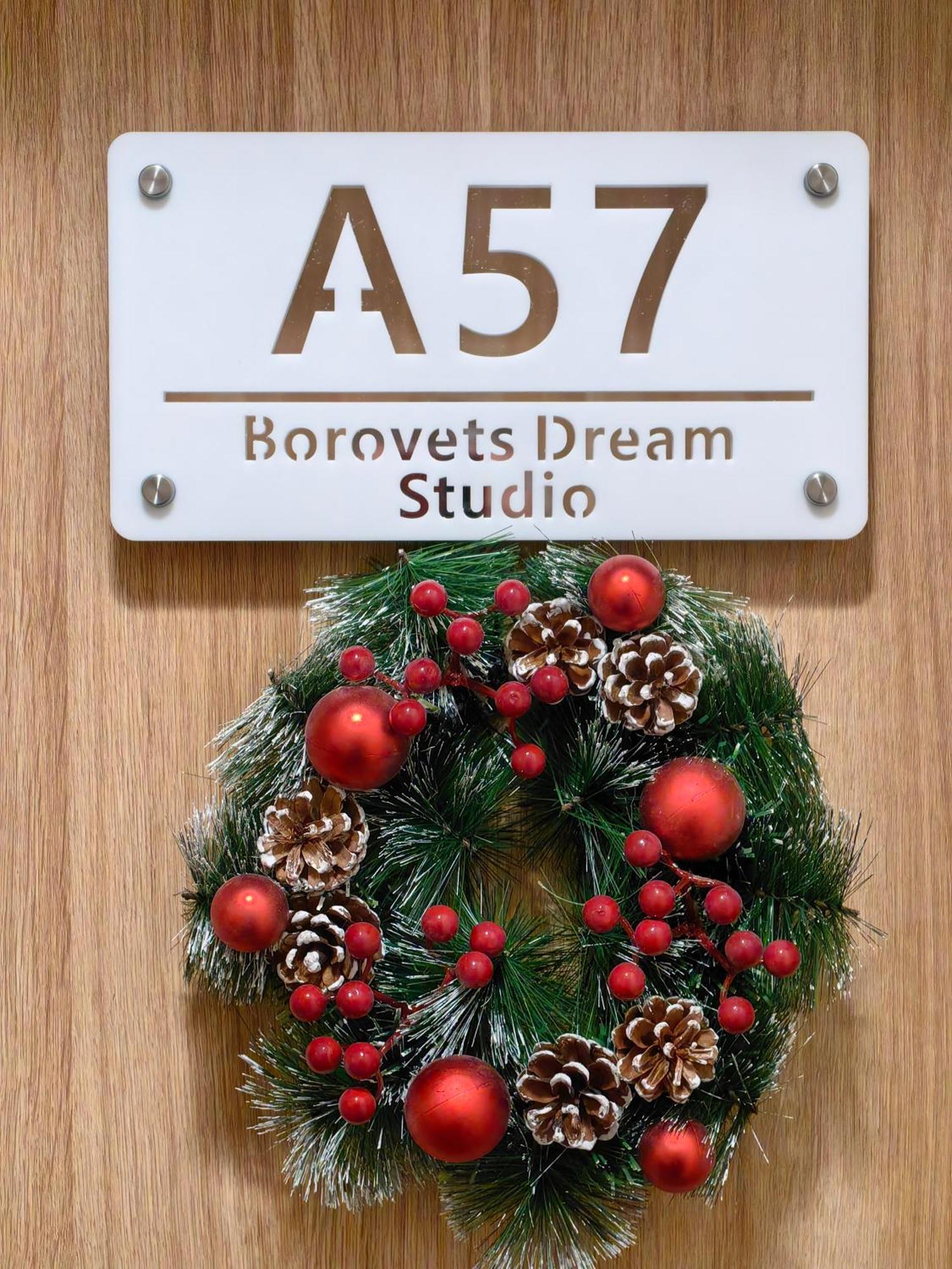 Borovets Dream Studio Zewnętrze zdjęcie